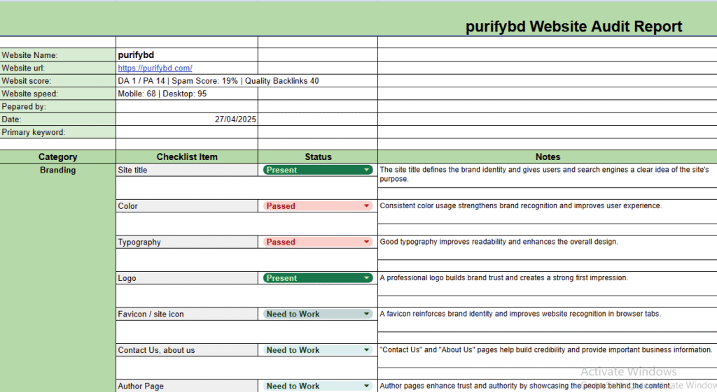 Full Website audit